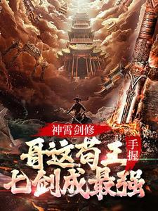 林枫苏慕白是什么主角