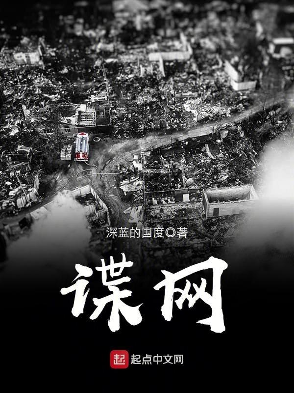 谍网电视剧