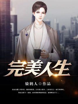 完美人生系统