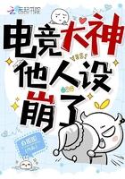 电竞大神他人设崩了晋江
