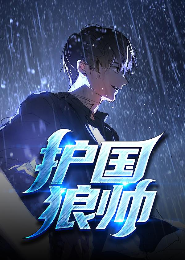 护国队是什么意思