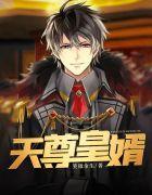 天尊皇婿杨九天陈艺完整版1636
