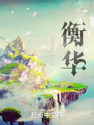 衡华建设有限公司