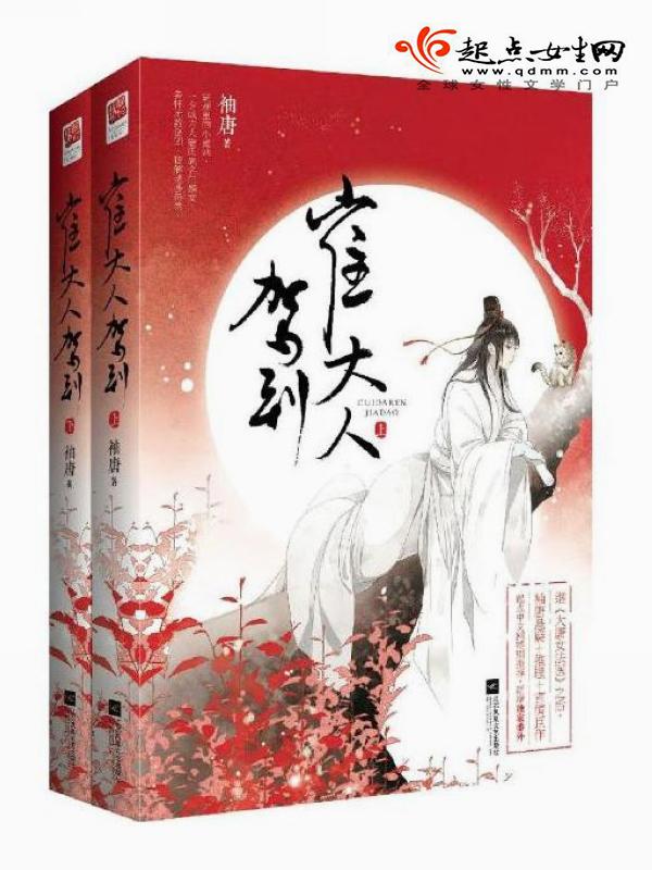 崔大人驾到免费观看