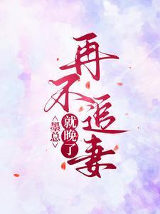 墨总追妻成瘾