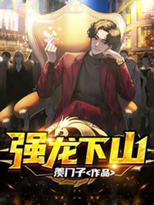 强龙下山叶无念免费