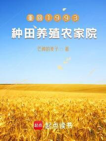 重回1999开农场