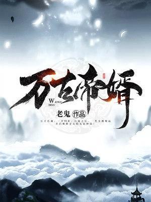 万古帝婿TXT