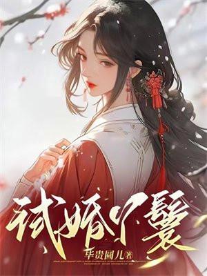 什么是试婚丫鬟