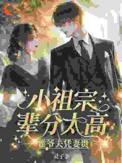 小祖宗辈分太高霍爷夫凭妻贵免费阅读