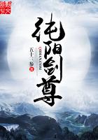 纯阳剑尊百科