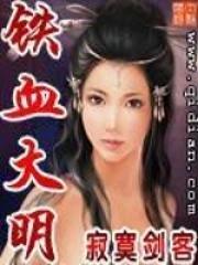铁血大明王朴柳轻烟