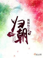 归朝服务区属于广西还是云南