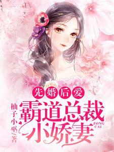 叶鼎寒辛遥免费阅读