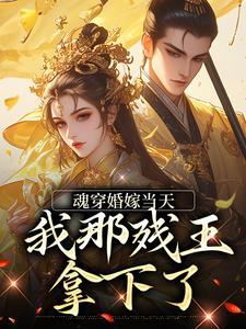 傅昭宁萧澜渊的