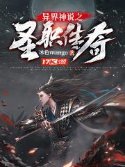 异界圣骑士百科