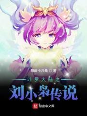 斗罗大陆之刘小枭传说评论