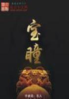 宝瞳笔趣阁