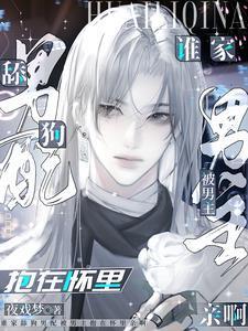 男主比较舔狗的