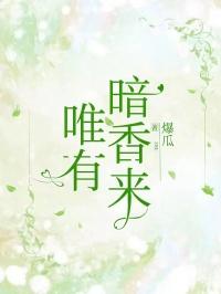 为有暗香来电视剧