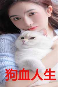 狗血人生云子衿免费阅读