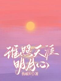 谁照天涯明月心陆景城全文免费