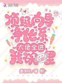 顶级向导净化系