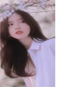 火影樱华
