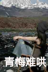 青梅难哄txt百度