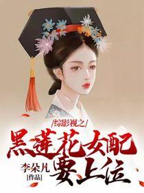 综影视之女配h文