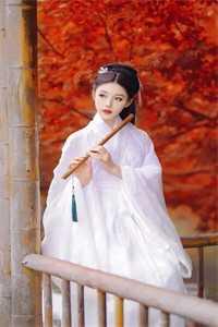 贵女重生之凤临天下 全文免费