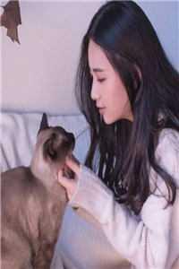 开局返还100亿