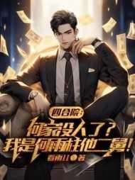 四合院何家没人了?我是何雨柱TXT