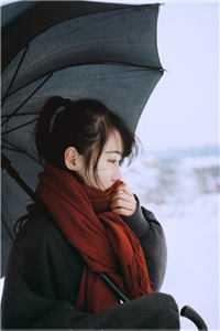 孤山百科