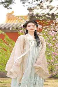 婚姻陷阱电视剧免费观看