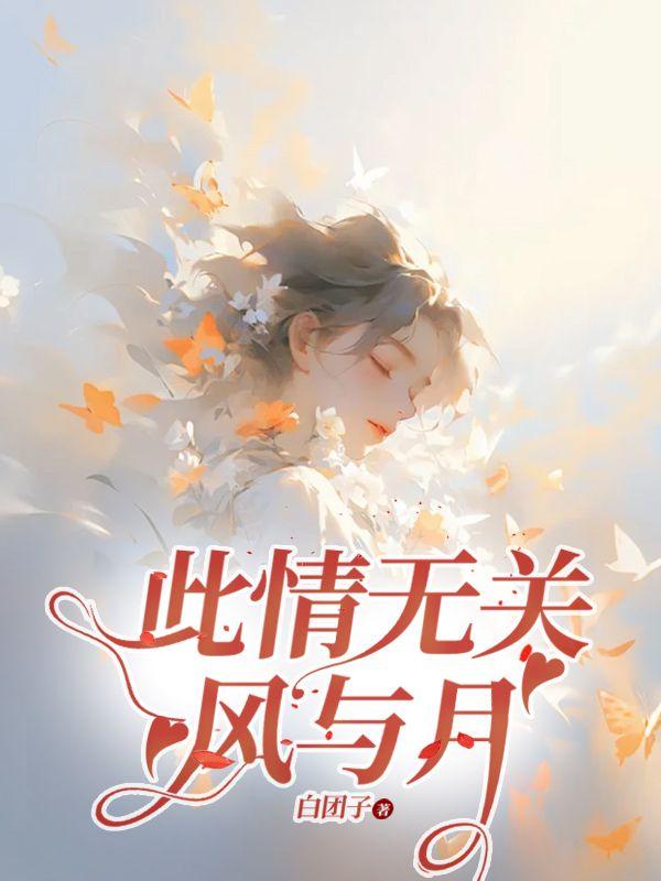 此情无关风与月林南霜全文免费观看