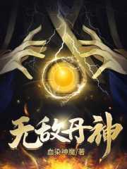 无敌丹神TXT八零