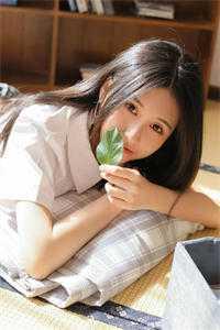 上门女婿3