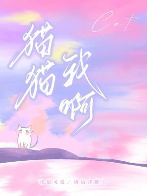 猫猫我啊txt