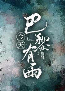 今天巴黎有雨清泽