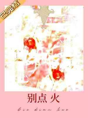 别点火 松子茶TXT番外