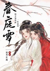 春庭雪歌曲DJ版