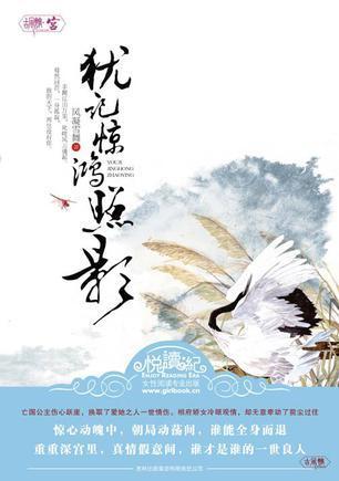 犹记惊鸿照影txt百度