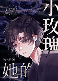她的小玫瑰全文免费阅读简介