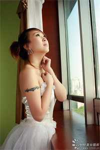夫人惹不得免费