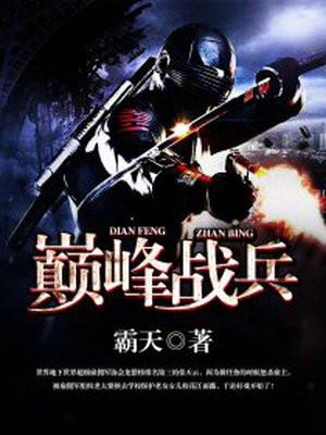 巅峰战兵李宏天全集阅读