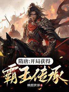 隋唐开局获得霸王传承