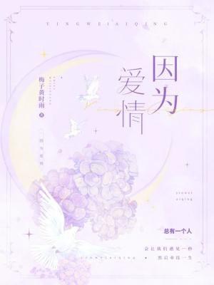 因为爱情有奇迹电视剧免费观看