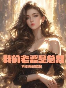 我的老婆是总裁唐风