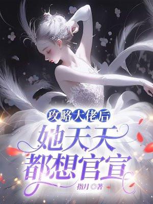 攻略大佬后我